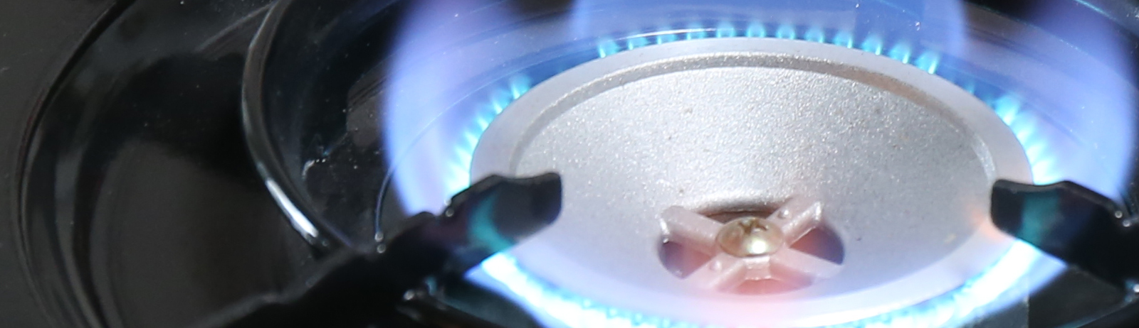 DBI kan brandprova ett antal olika typer av gasförbrukande hushålls- och fritidsapparater.
